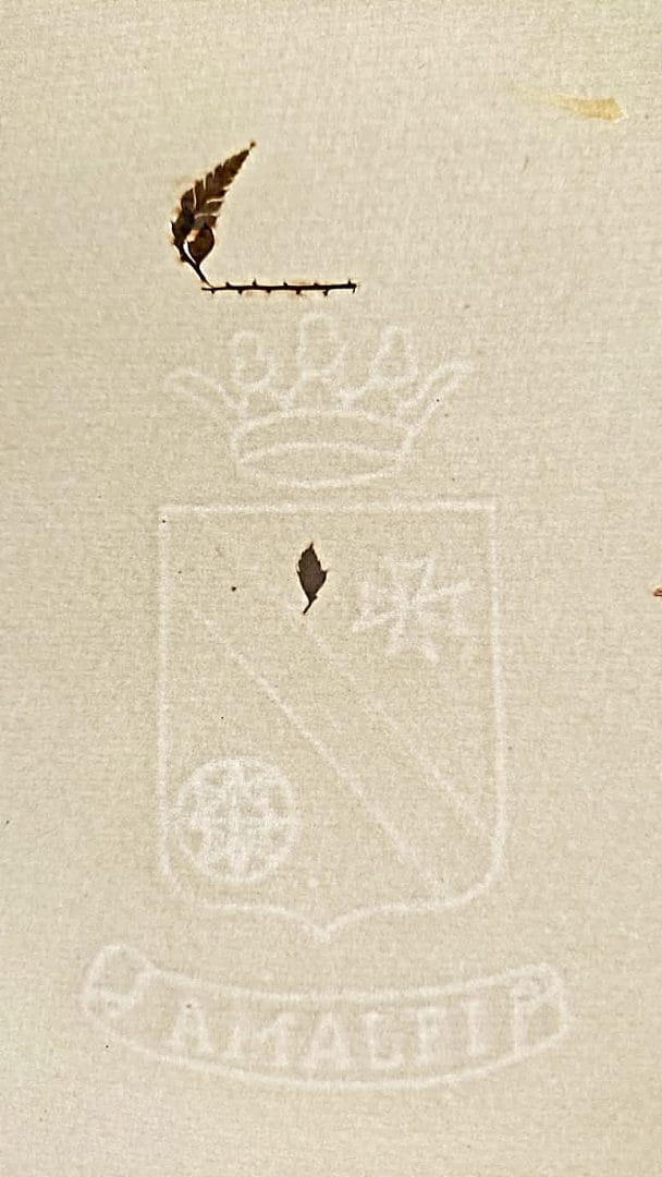 Filigrana Amalfi con fiori Esempio di filigrana con lo stemma di Amalfi su un foglio formato A4 con fiori