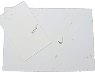 Partecipazione con fiori in carta di Amalfi Amatruda colore avorio.