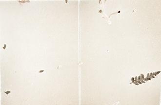 Example of Amalfi card with flowers