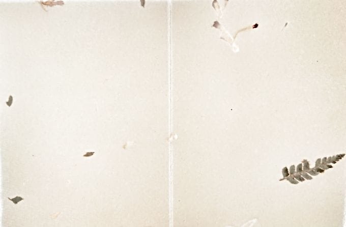 Esempio di carta di Amalfi con fiori