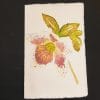 Bigliettini di auguri in carta di Amalfi con decoro floreale ad acquerello