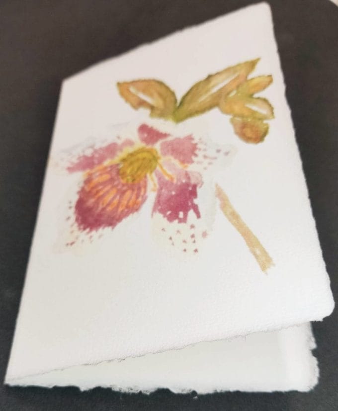 Bigliettini di auguri pieghevoli in carta di Amalfi con decoro di un elleboro ad acquerello.