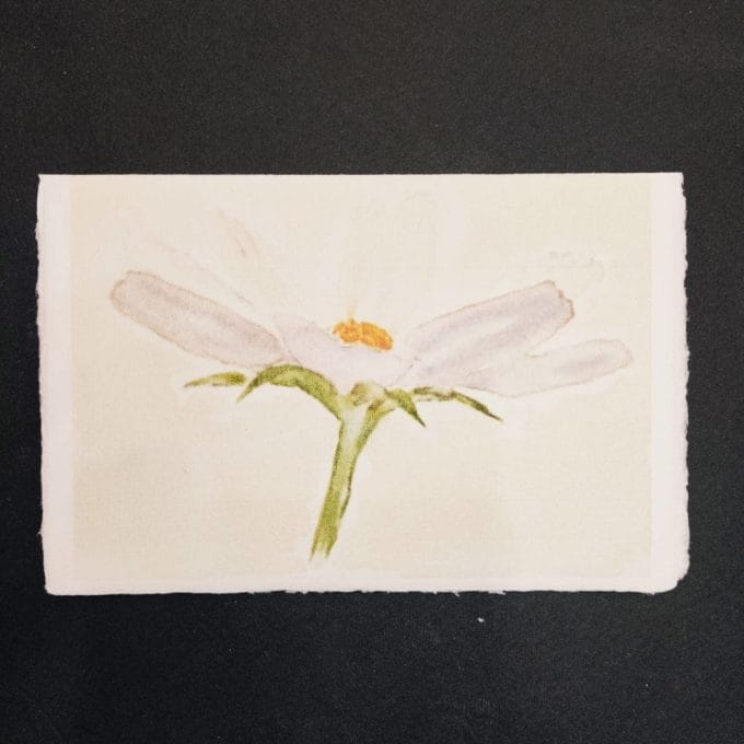Biglietto in carta di Amalfi pieghevole con cosmea ad acquerello