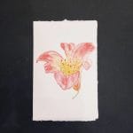 Biglietto di auguri con fiori in carta di Amalfi con decoro di un giglio dipinto ad acquerello.
